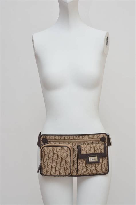 dior bum bag women's|christian dior waist bag.